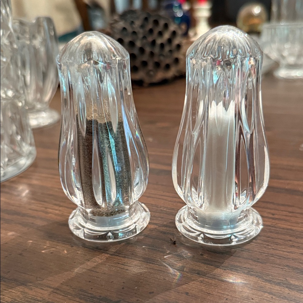 Elegant Clear Glass Shakers